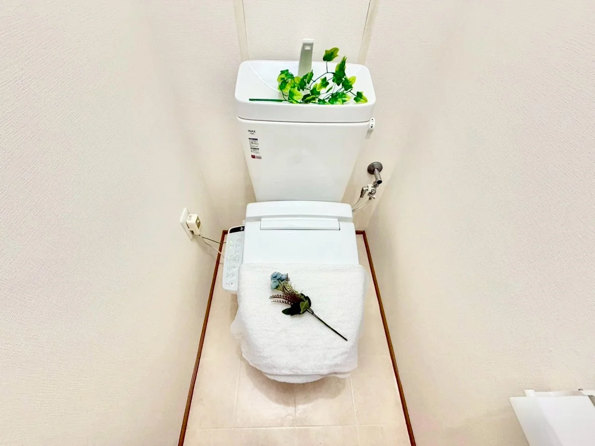 ※撮影用の観察植物・食器調理器具・雑貨類等はございません。※写真は現況優先