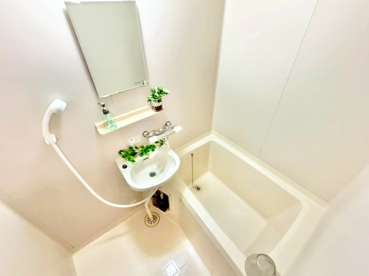 ※撮影用の観察植物・食器調理器具・雑貨類等はございません。※写真は現況優先