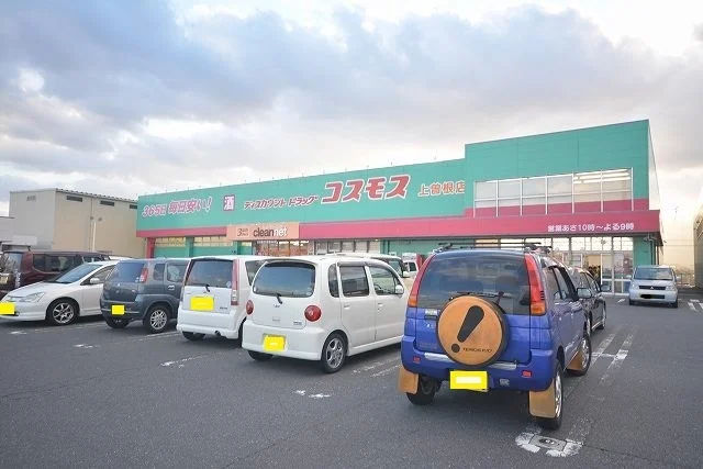 ディスカウントドラッグコスモスまで700m