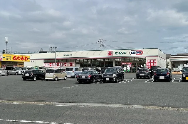 ドラッグセイムス　見沼風渡野店まで700m