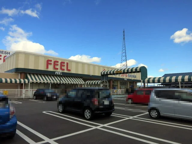 フィール岡崎大和店まで900m