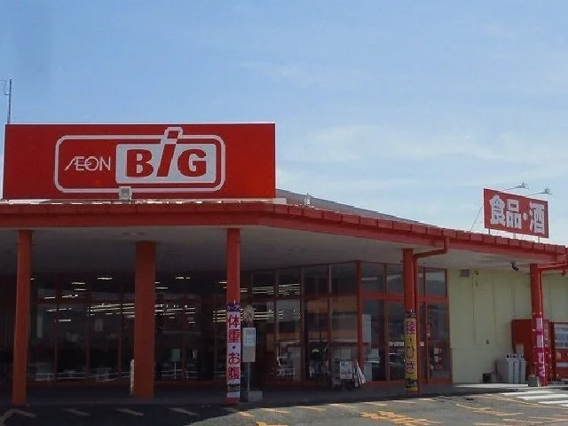 ザ　ビッグ白石店まで710m