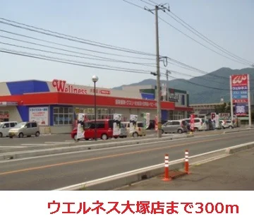 ウエルネス大塚店まで300m