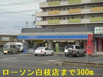 ローソン白枝店まで300m