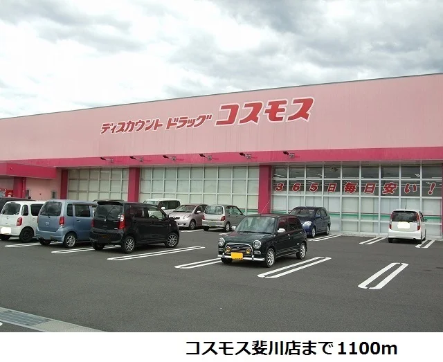 コスモス斐川店まで1100m