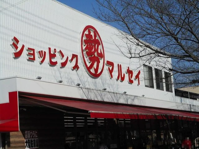 ショッピング丸勢まで250m