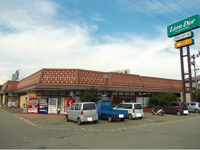 リオンドール高田店まで1000m