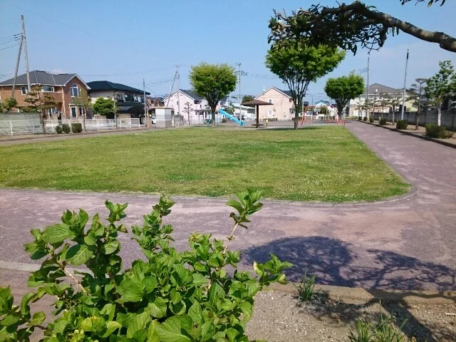 中泉けやき公園まで140m