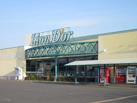 リオン・ドール鏡石店まで700m