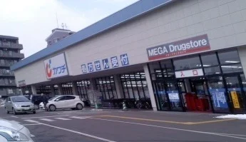 カワシ薬品福島東店まで1300m