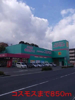 コスモスまで850m
