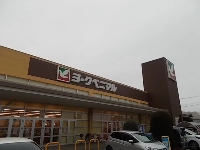 ヨークベニマル赤塚店まで1000m