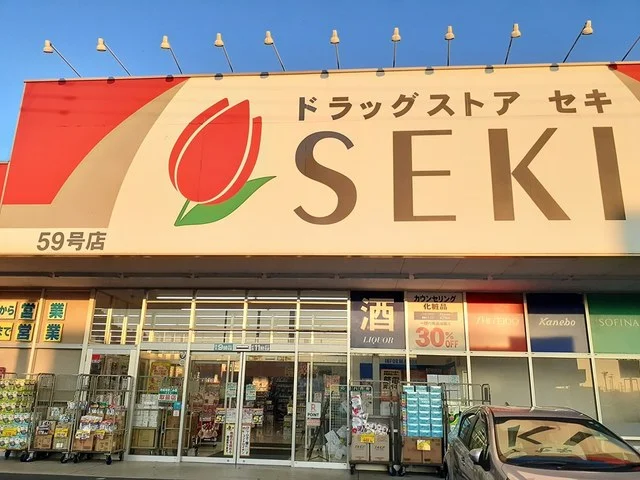 ドラッグストアセキまで796m