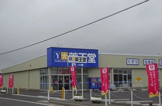 薬王堂八戸河原木店まで700m