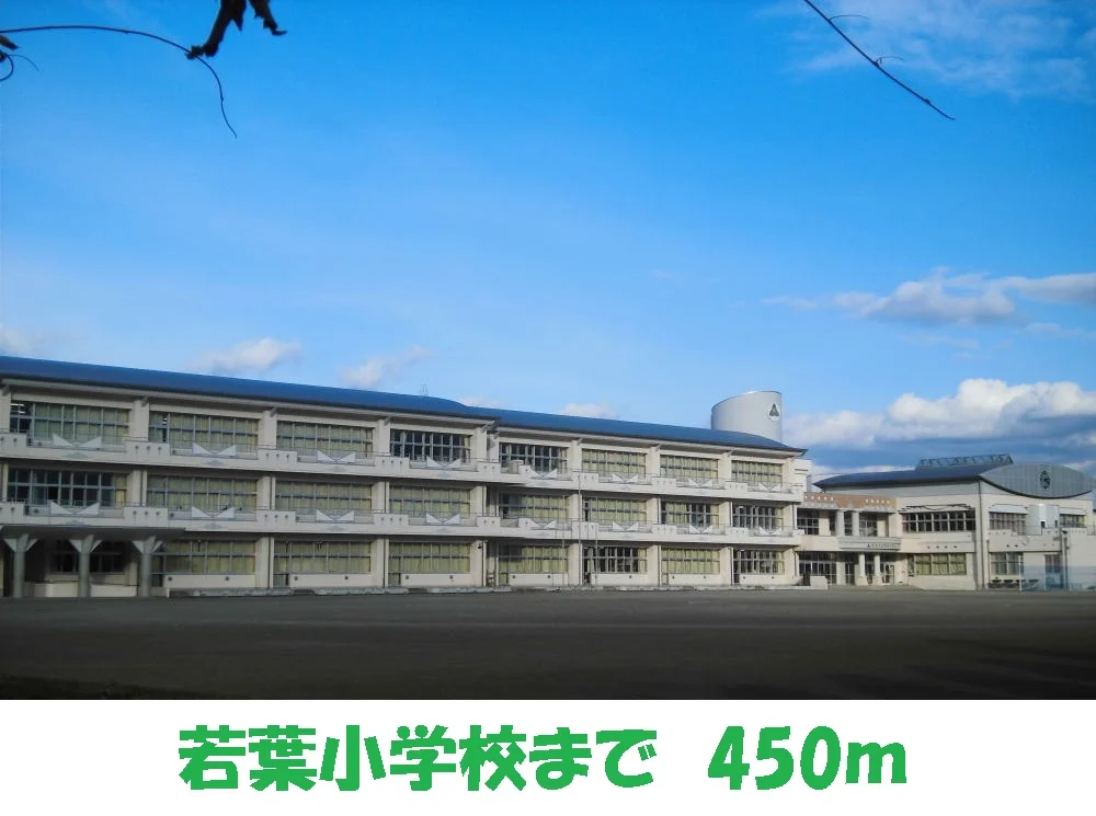 若葉小学校まで450m