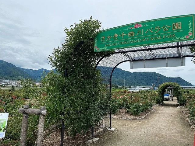 さかき千曲川バラ公園まで1500m