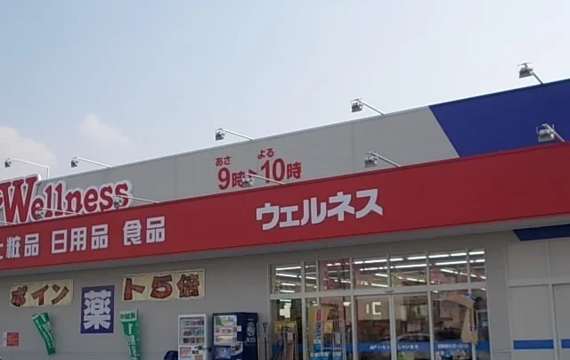 ウェルネス淀江店まで1800m