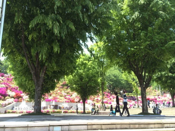 西山公園まで1100m