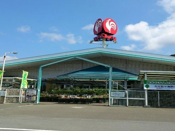 コメリ今立店まで900m