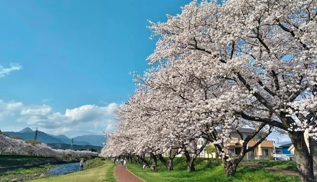 潤井川河川敷まで1000m