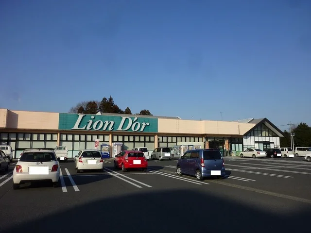 リオン・ドール高根沢店まで1200m