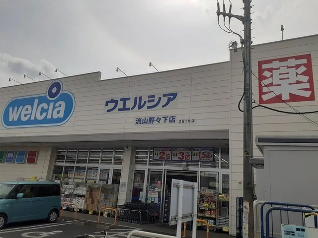 ウエルシア流山野々下店まで169m