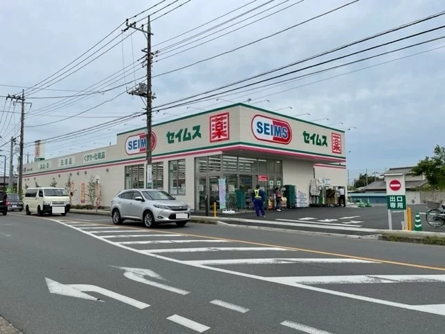 ドラッグセイムス　見沼丸ケ崎店まで800m