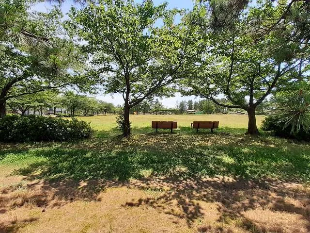 牛海道中央公園まで170m