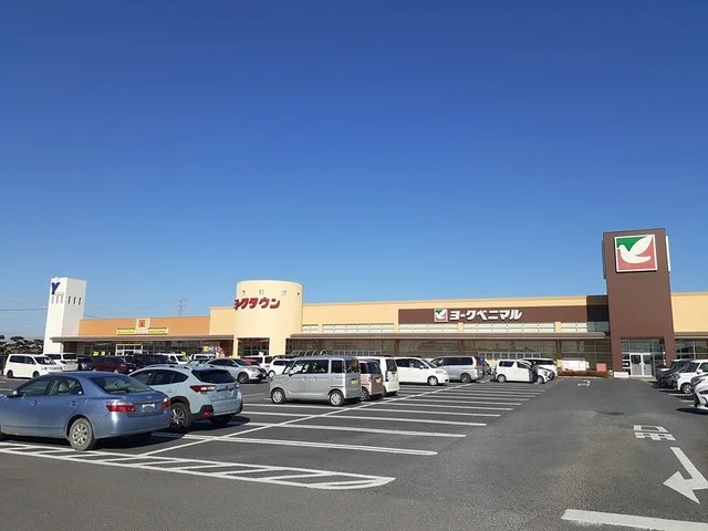 ヨークベニマルひたちなか店まで1800m