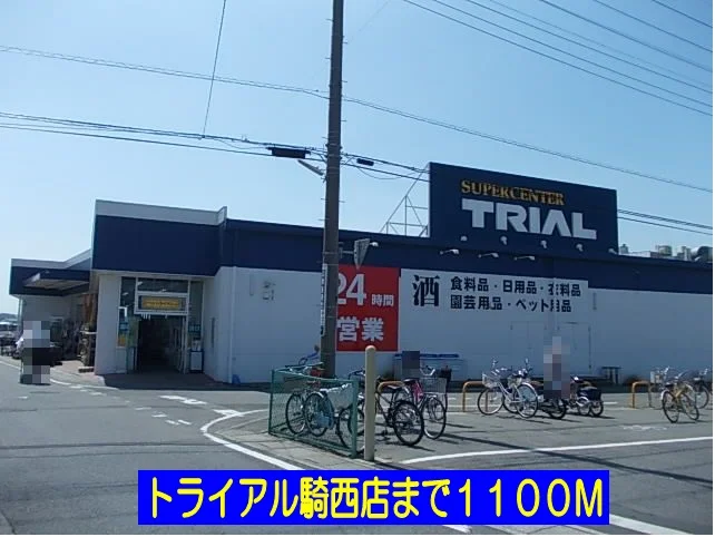 トライアル騎西店まで1100m