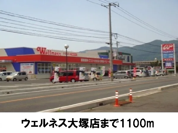 ウエルネス大塚店まで1100m