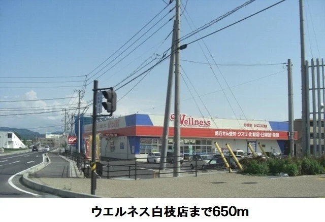 ウエルネス白枝店まで650m