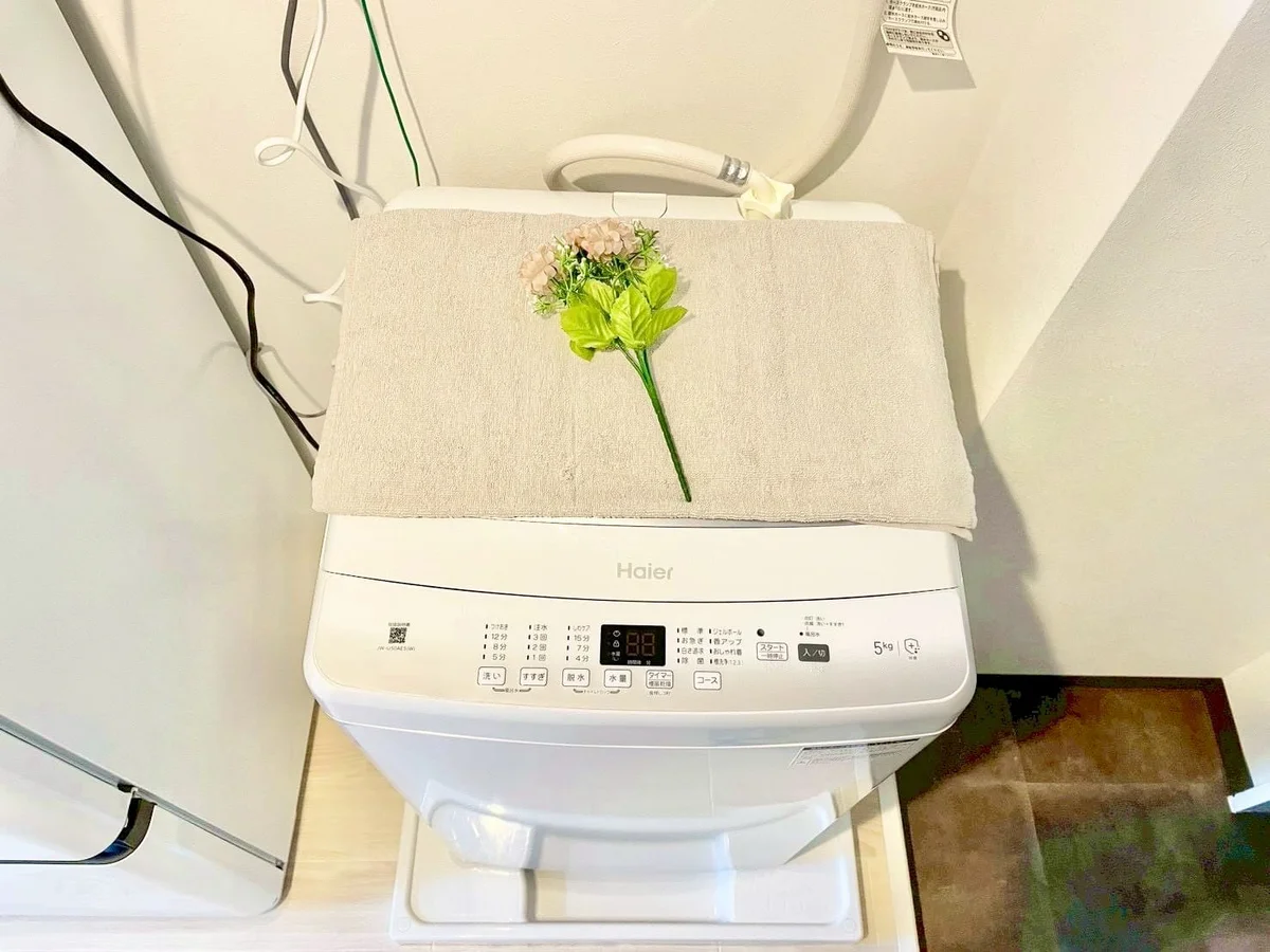 ※撮影用の観察植物・食器調理器具・雑貨類等はございません。※写真は現況優先