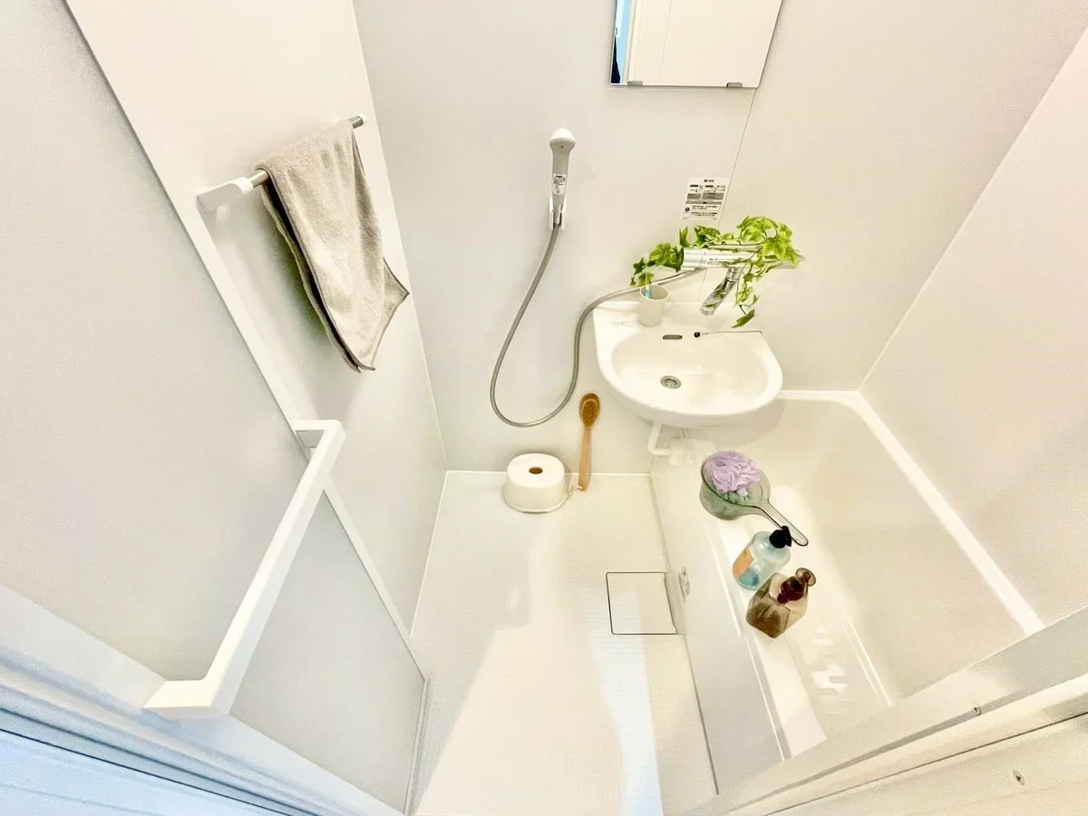 ※撮影用の観察植物・食器調理器具・雑貨類等はございません。※写真は現況優先