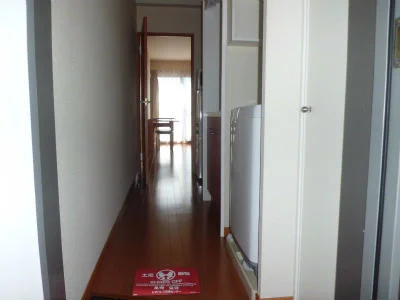 南側の窓から明るい光が射し込みます。