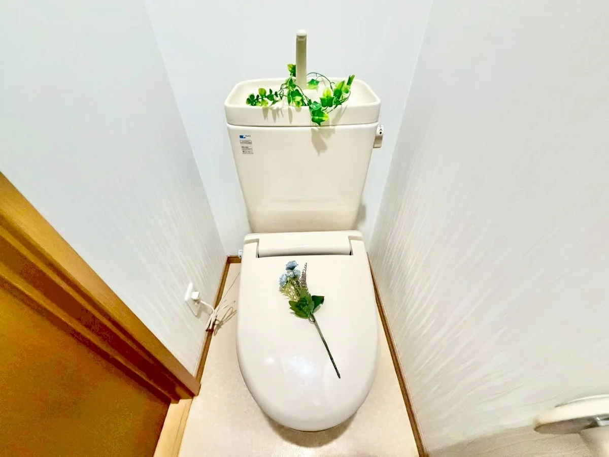 ※撮影用の観察植物・食器調理器具・雑貨類等はございません。※写真は現況優先
