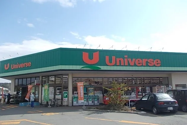 ユニバース百石店まで1100m