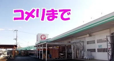 コメリハード＆グリーン金ヶ崎店まで1300m