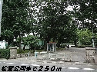 松葉公園まで250m