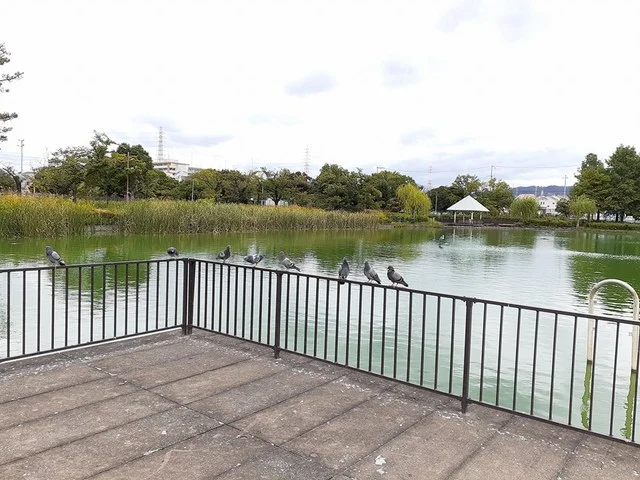 弁天池公園まで750m
