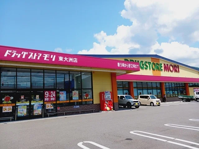 ドラッグストアモリ東大洲店様まで2300m
