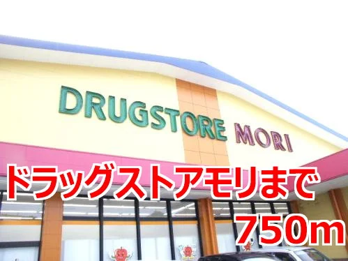 ドラッグストアモリまで750m