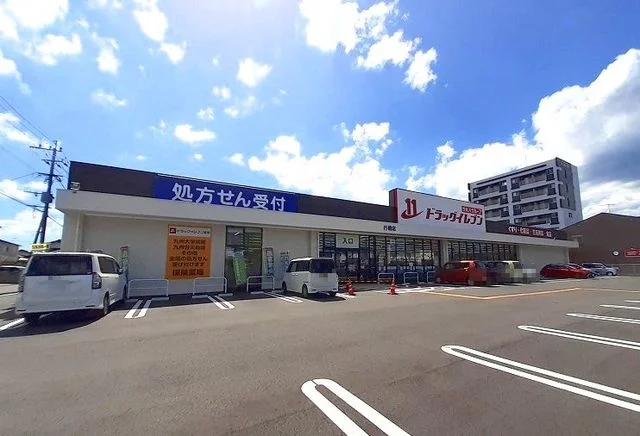 ドラッグイレブン行橋店まで1100m