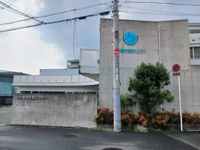 ルカ動物医療センターまで600m