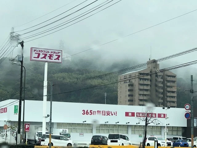 コスモスまで3600m