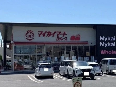 マイマイカート上尾店まで700m