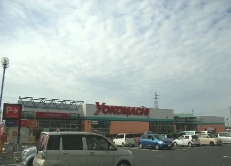 よこまちストア新井田店まで1000m