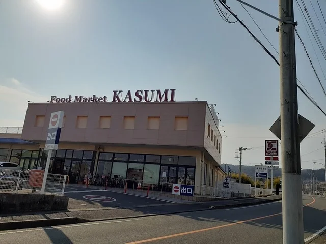 カスミ東大沼店まで1100m