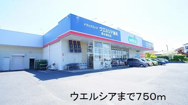 ウエルシアまで750m