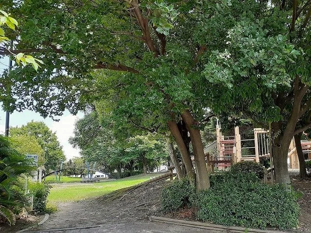 雨池公園まで200m